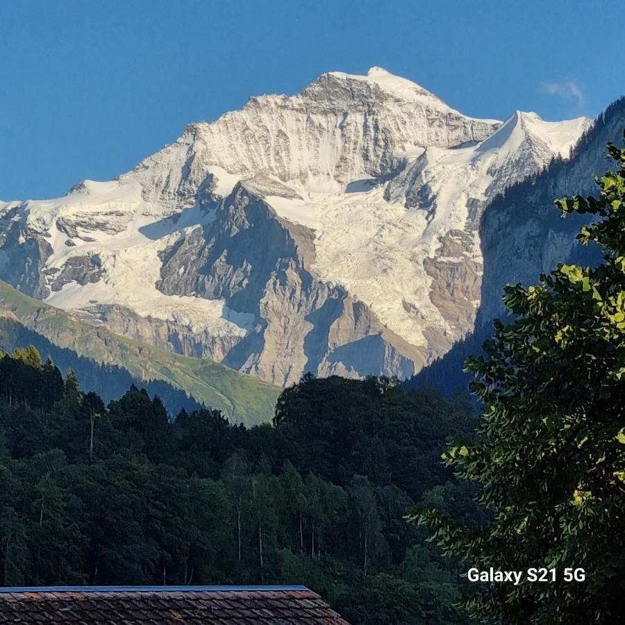 Mountain - Lake Apartment 3 วิลเดอร์สวิล ภายนอก รูปภาพ